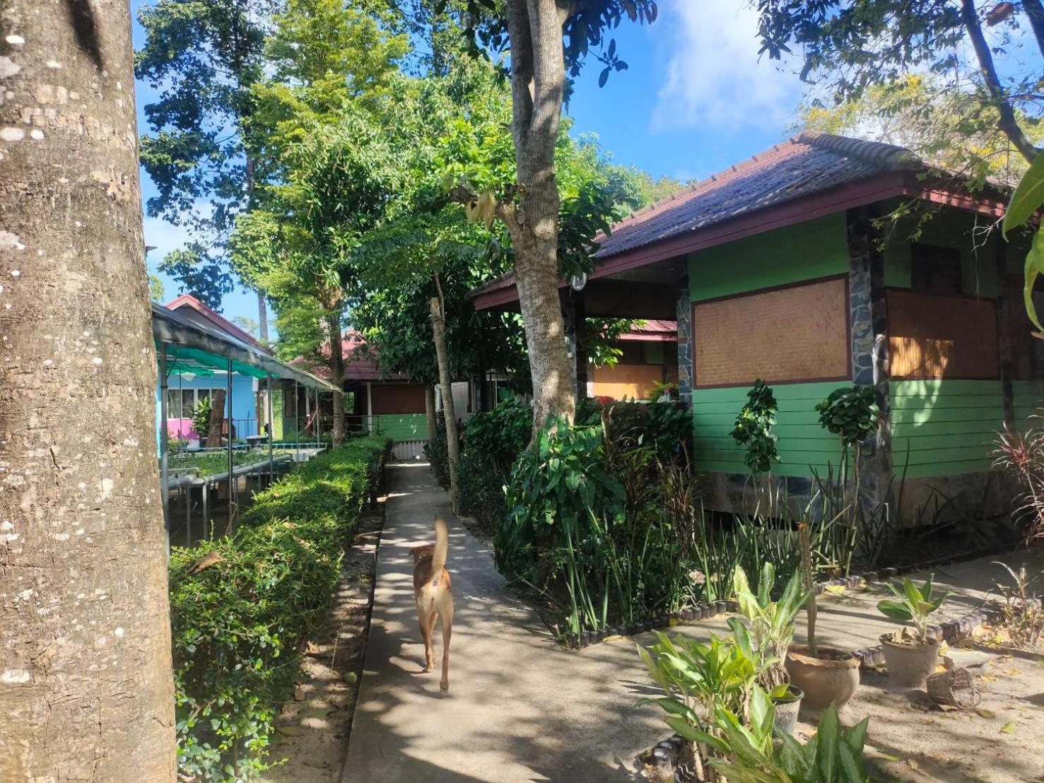 Everest Resort Samui - Sha Plus Mae Nam Εξωτερικό φωτογραφία